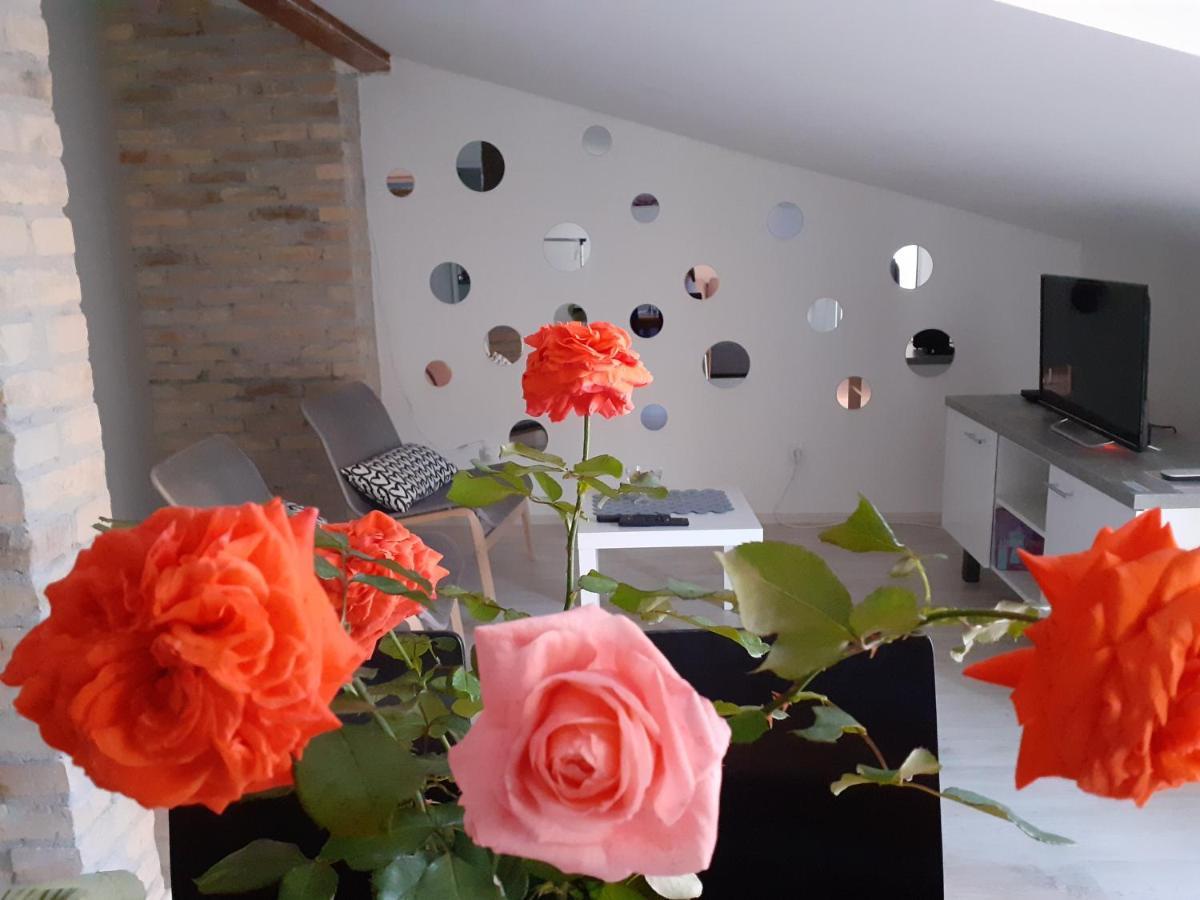Appartamento Flora Novi Sad Esterno foto